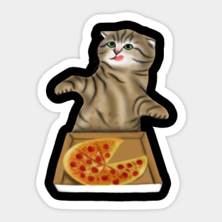 Pizza Cat Lovers Gift Sticker